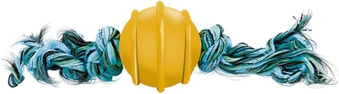 Bola Maciça com Corda para Cães Furacão Pet 50mm brinquedo resistente para diversão e exercícios