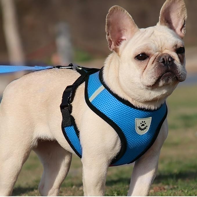 Coleira Peitoral Anti Puxão com Guia para Cães e Gatos NEXUS MARKET Azul - Imagem 6
