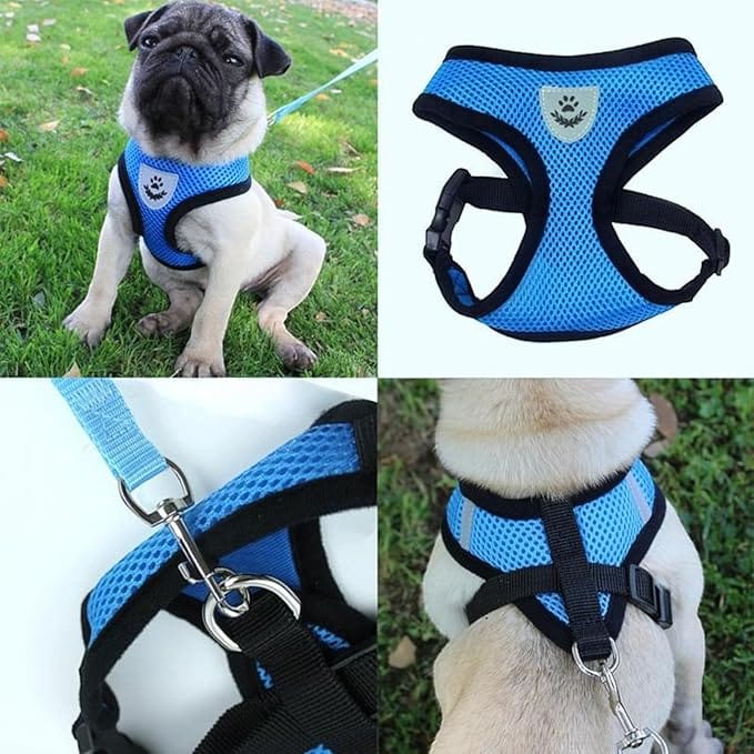 Coleira Peitoral Anti Puxão com Guia para Cães e Gatos NEXUS MARKET Azul - Imagem 2