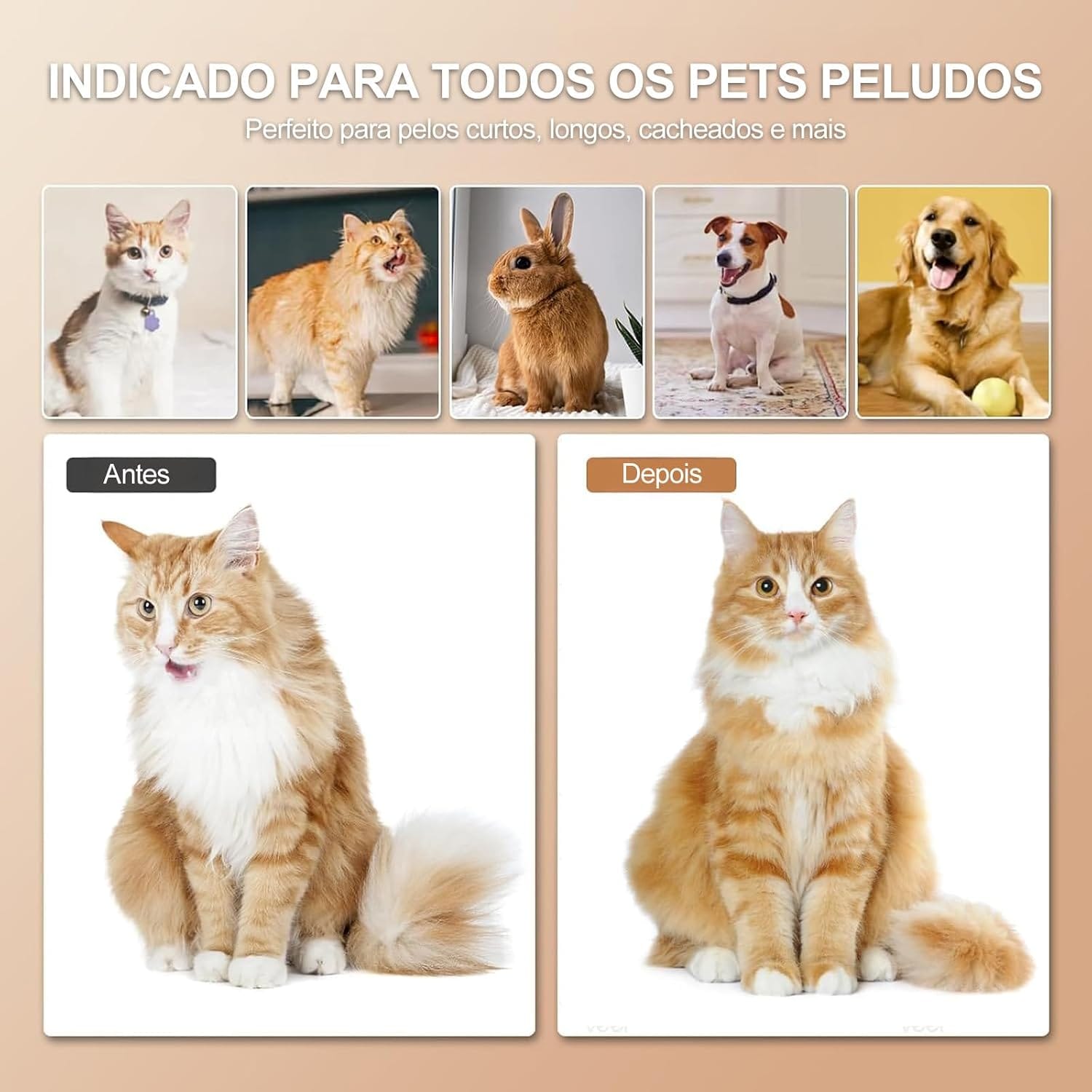 Escova Pet Vapor 4 em 1 Removedora de Pelos para Cães e Gatos com Névoa Antiestática e Massagem - Imagem 7