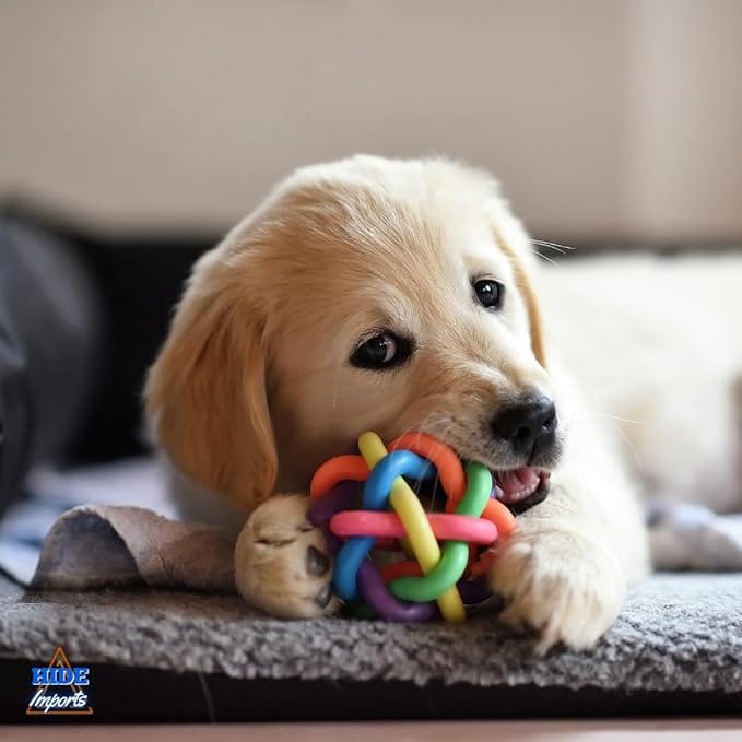 Kit 5 Brinquedos Mordedores para Filhotes com Galinha Sonora e Bolinhas Pet - Imagem 5
