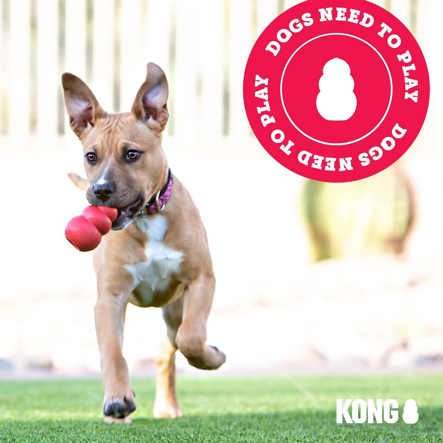 Brinquedo Kong Classic Medium para Cães com Dispenser de Petiscos e Estimulação Mental - Imagem 5
