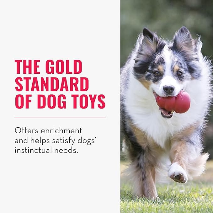Brinquedo Kong Classic Medium para Cães com Dispenser de Petiscos e Estimulação Mental - Imagem 10