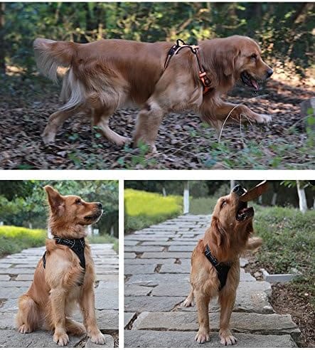 Peitoral Truelove Anti Puxão Refletivo com Alça de Controle para Cães - Imagem 6