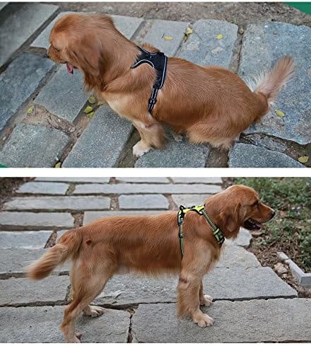 Peitoral Truelove Anti Puxão Refletivo com Alça de Controle para Cães - Imagem 5