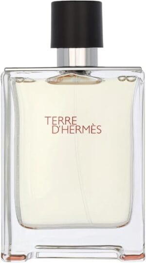 Terre D Hermès Eau de Toilette perfume masculino Hermès 100ml original